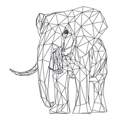 Elephant polygonal lines illustration. Abstract vector elephant on the white background