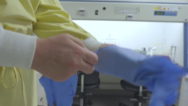 Scientist puts on protective gloves and disinfects his hands with ethanol in a cell cute laboratory.
