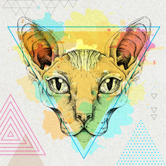 Hipster realistic animal sphynx cat on artistic polygon watercolor background