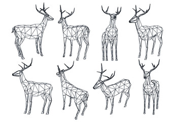 Deer polygonal lines illustration. Abstract vector deer on the white background
