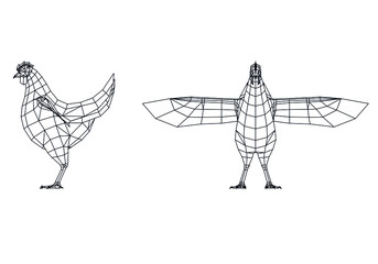 Chicken hen polygonal lines illustration. Abstract vector hen on the white background