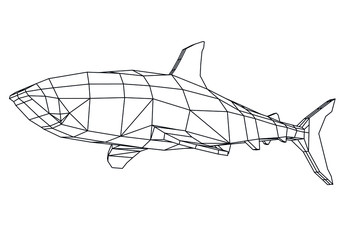 Great White Shark polygonal lines illustration. Abstract vector shark on the white background