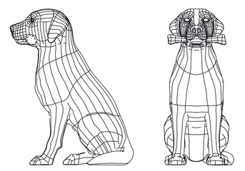 Labrador retriever dog polygonal lines illustration. Abstract vector dog on the white background