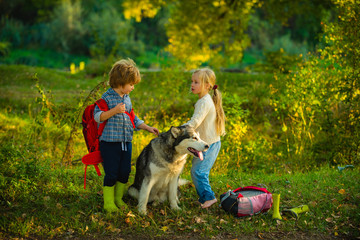 Naklejka na ściany i meble Kids spending time together with a dog in field. Boy and girl playing with his dog on the lawn in the park. Adventure and vacations children concept.