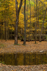 Autumn in the sandstone canyons of Illinois canyon.