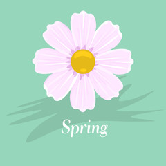 Single Cherry blossom. Flat and solid color Vector illustration.