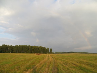 Naklejka na ściany i meble rainbow over the field