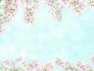 Blossom cherry flowers. Spring flowers on blurred blue background with bokeh
