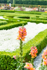 Wunder schöner gepflegter Garten