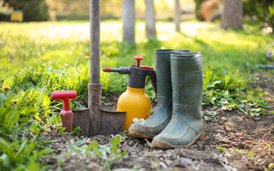 Gardening tools and seedlings in a greenhouse