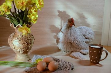 
On the table sits a lively cute gray chicken, there is a vase with yellow fragrant flowers of daffodils, a cup with milk, eggs.