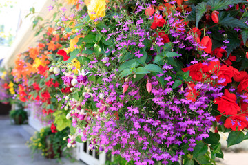 Blooming flowers amazing complex baskets hanging pots near small luxury lodge exterior. 