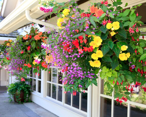 Blooming flowers amazing complex baskets hanging pots near small luxury lodge exterior. 