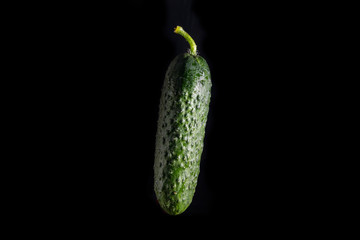 Fresh green cucumber  on a dark slate background