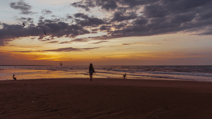 Fototapeta na wymiar sunset on a tropical beach