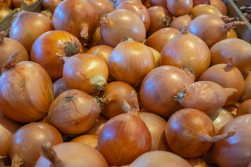 Onions in a box. Large vegetables. Selling a crop in the market. Natural, healthy, vitamin-rich foods. Food for health.
