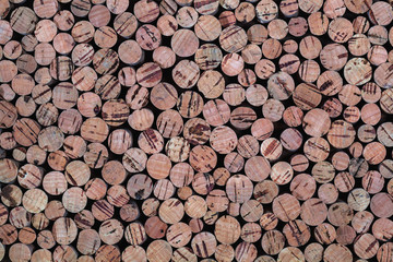 Background texture of cork from the cork tree
