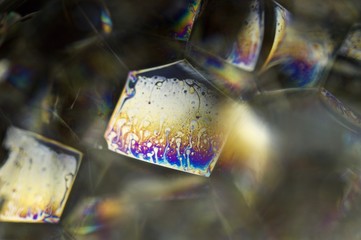 Fototapeta na wymiar Soap bubbles with rainbow reflected in macro view