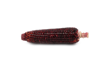 Siam Ruby Queen or Red corn of sweet corn