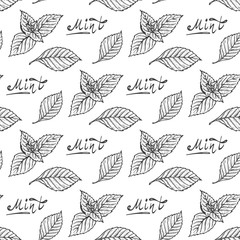 Mint Leaf Vector Seamless Pattern. Hand Drawn Eco Peppermint Tea. Fresh Mint leaves. Menthol. Medicinal plants. Spicy Herbs.
