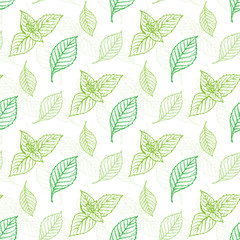 Mint Leaf Vector Seamless Pattern. Hand Drawn Eco Peppermint Tea. Fresh Mint leaves. Menthol. Medicinal plants. Spicy Herbs.
