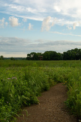 Fototapeta na wymiar Dirt trail through the wildflowers and green grass on a summer morning. Dixon waterfowl refuge, Illinois.