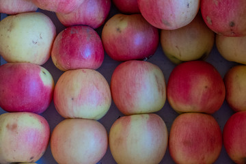 Multi-colored apples in a box. Selling crops on the market. Natural, healthy, vitamin-rich foods. Food for health. A variety of types of apples: yellow, red, green, variegated, with dots.