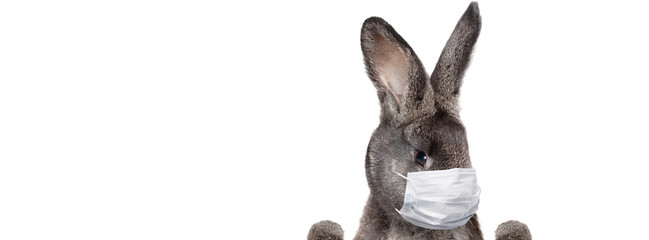 Easter rabbit with medical mask at epidemic time