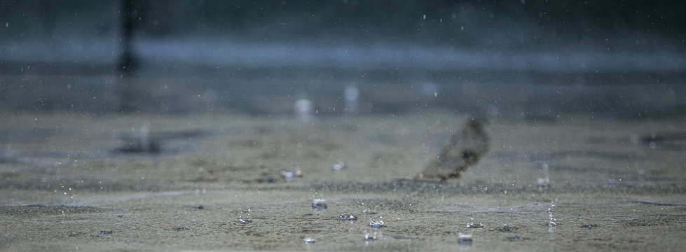 Der Regen prasselt auf den Boden