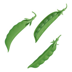 Three fresh green pea pods with peas, isolated vector illustration on white background.