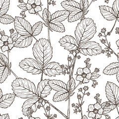 Strawberry Tea Seamless Pattern. Hand drawn Sketch Strawberry Flower and Strawberry Leaf. Vector Flowers and Leaves. Medicinal Plants. Alternative Medicine Floral Background
