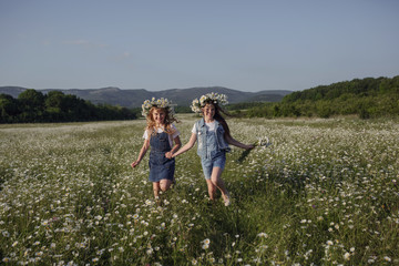 Fototapeta premium two cute teen girls in denim overalls walk in a daisy field