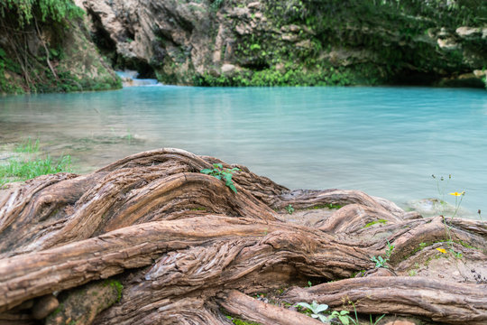 Apoal&aacute; Oaxaca, un oasis en medio del desierto 