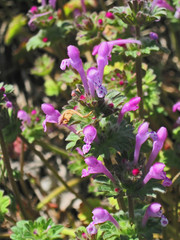 The world is under your feet.Composition 2.