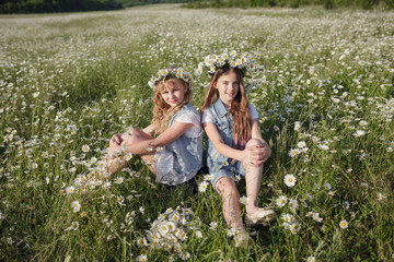 Fototapeta premium two cute teen girls in denim overalls walk in a daisy field