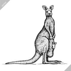 black and white engrave isolated kangaroo vector illustration