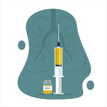 Vector illustration with BCG vaccine, syringe, and lungs. 