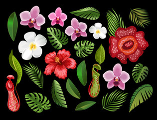 Tropical flowers and palm leaves