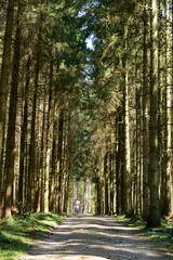 coureur à pied sur un chemin dans les bois 