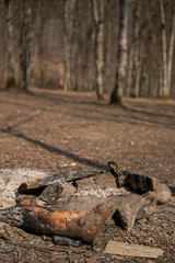 Fireplace from wood and stones with ashes and  without a fire in a romantic forest early in early spring