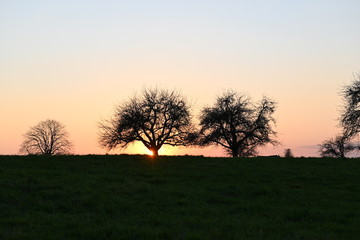 Sonne, Sonnenuntergang, leuchten, abendrot, morgenrot, Sonnenr&ouml;te, r&ouml;te, Abendstimmung