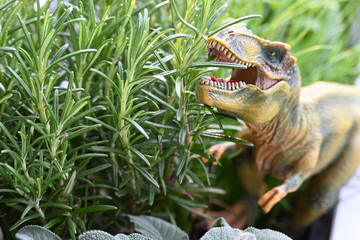 Trex, rex. dino, Dinosaurier, saurus, gefährlich, essen, rosmarin © Elociné