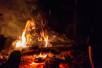 A bonfire on the nature at night
