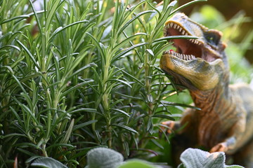 Trex, rex. dino, Dinosaurier, saurus, gef&auml;hrlich, essen, rosmarin