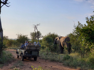 Jeep Safari with Elephant Karongwe Reserve South Africa © WebGuNet