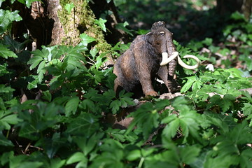 Mammut 