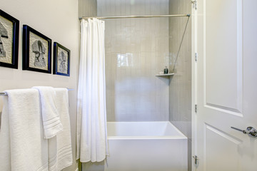 White and grey bathroom interior with a shower. Luxury American modern home.