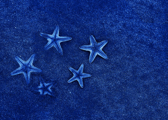 Fototapeta na wymiar starfish on a sandy beach. toned in modern trendy color classic blue