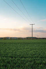 Hochspannungskabel und Stahlmasten in einer Agrarlandschaft