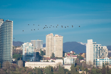 Obraz premium san francisco skyline